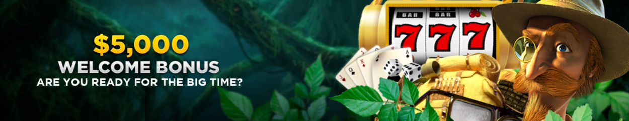 wild-online-casino-welcome-bonus